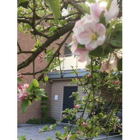 Ferienwohnung-am-bach