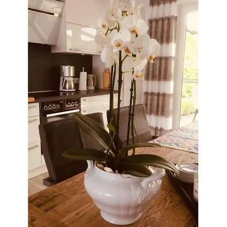 Ferienwohnung-am-bach *